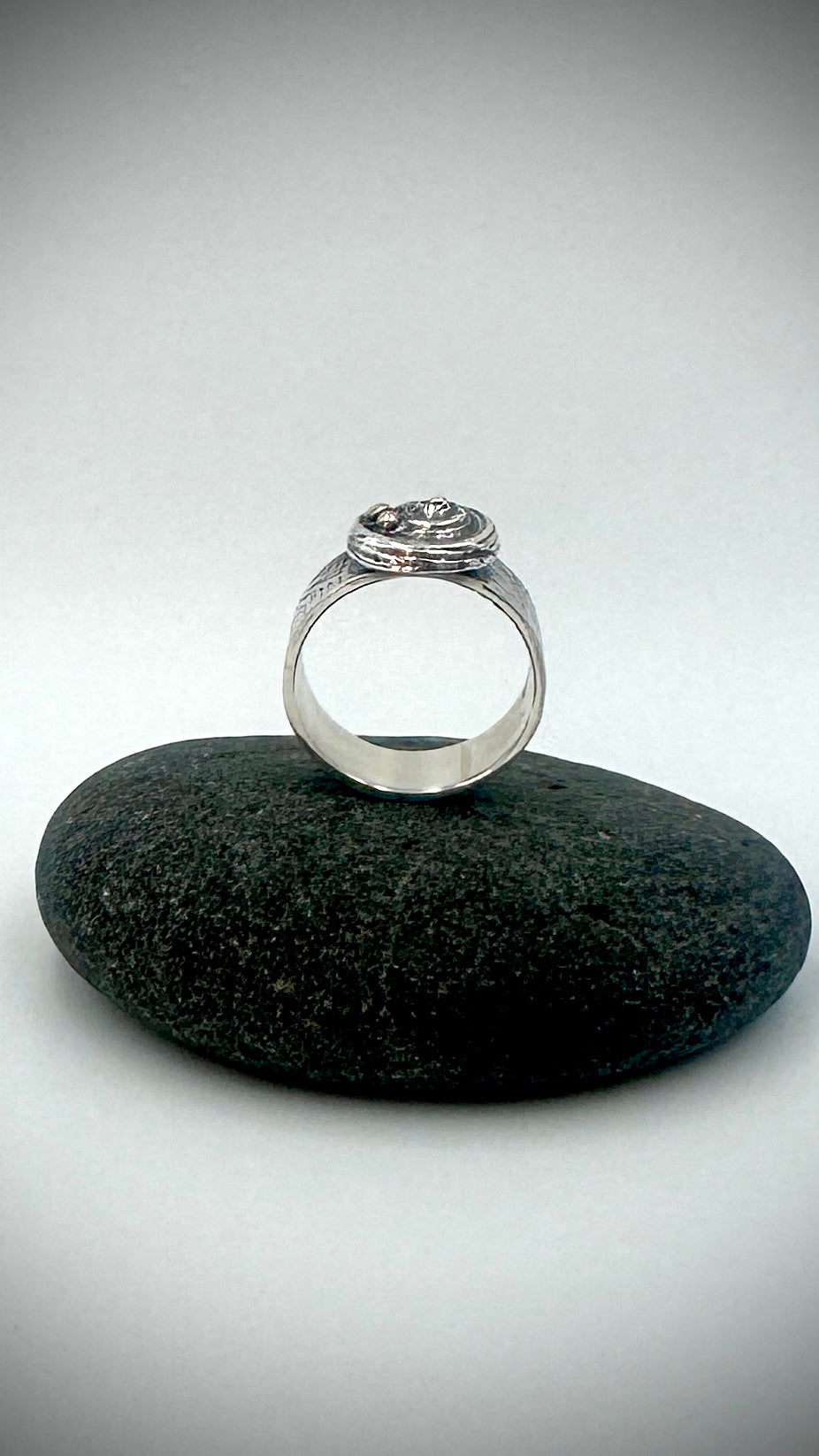 Side profile of sterling silver Beach Ring on dark river stone, showing wide smooth polished interior band with spiral shell and granule feature at the crown — Marina Fox Fine Art