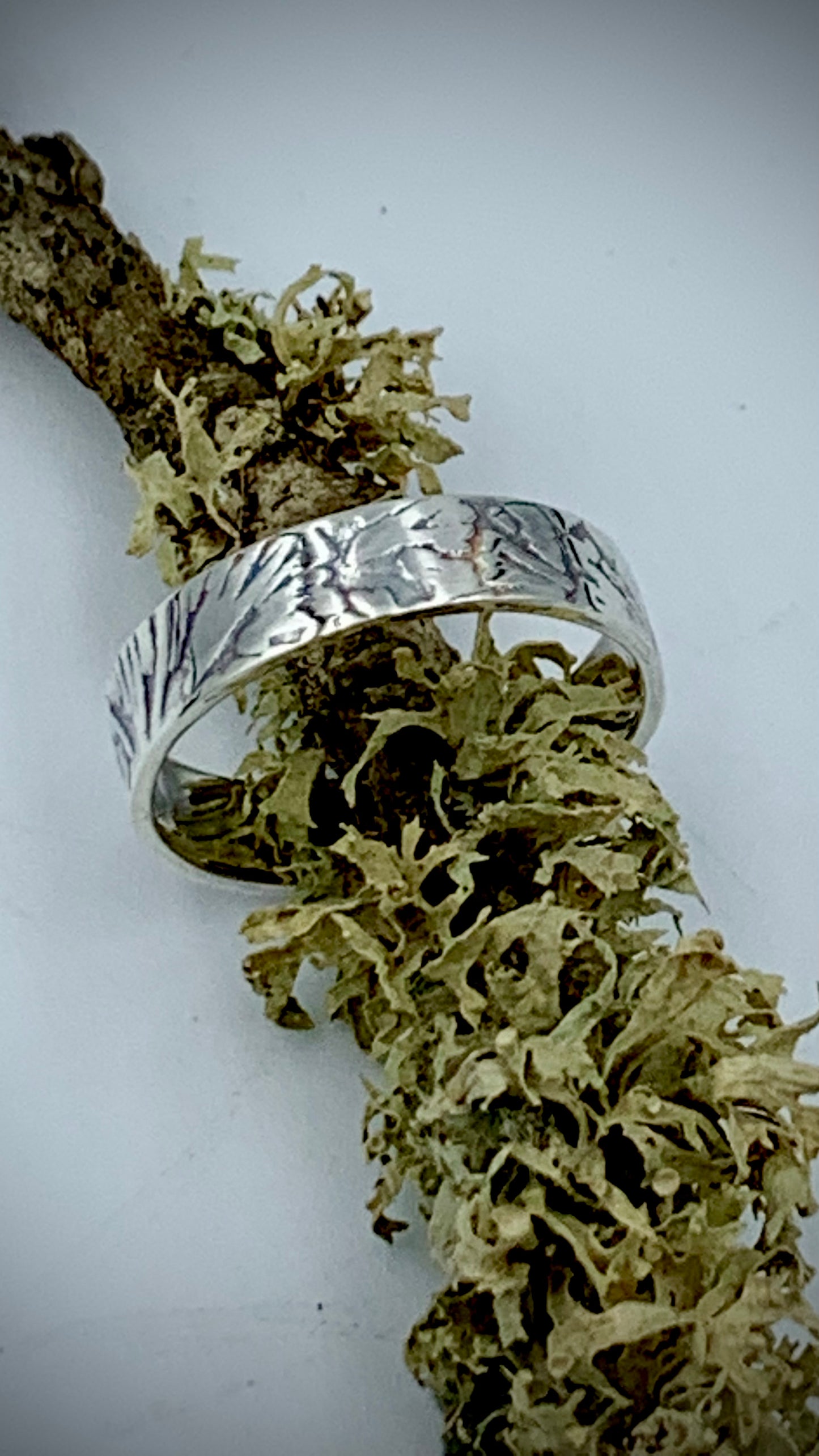 Sterling silver Ginkgo textured ring draped over a lichen-covered branch, nature-inspired fine art jewellery