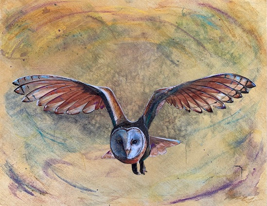 Watercolour painting of an Australian Barn Owl in direct flight by Marina Fox, wings spread wide facing the viewer against a swirling warm gold and green background
