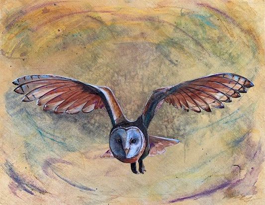 Watercolour painting of an Australian Barn Owl in direct flight by Marina Fox, wings spread wide facing the viewer against a swirling warm gold and green background