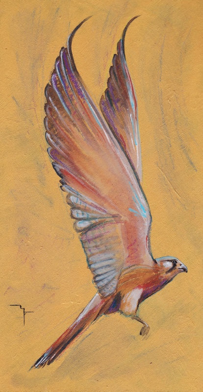 Watercolour painting of an Australian Nankeen Kestrel in ascending flight by Marina Fox, wings spread wide showing iridescent copper and purple feathers against a warm golden ochre background