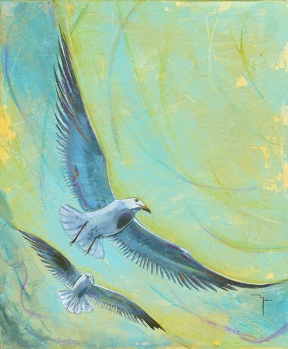 Watercolour painting of two Australian seagulls soaring in flight by Marina Fox, wings outstretched against a vibrant turquoise and golden yellow sky
